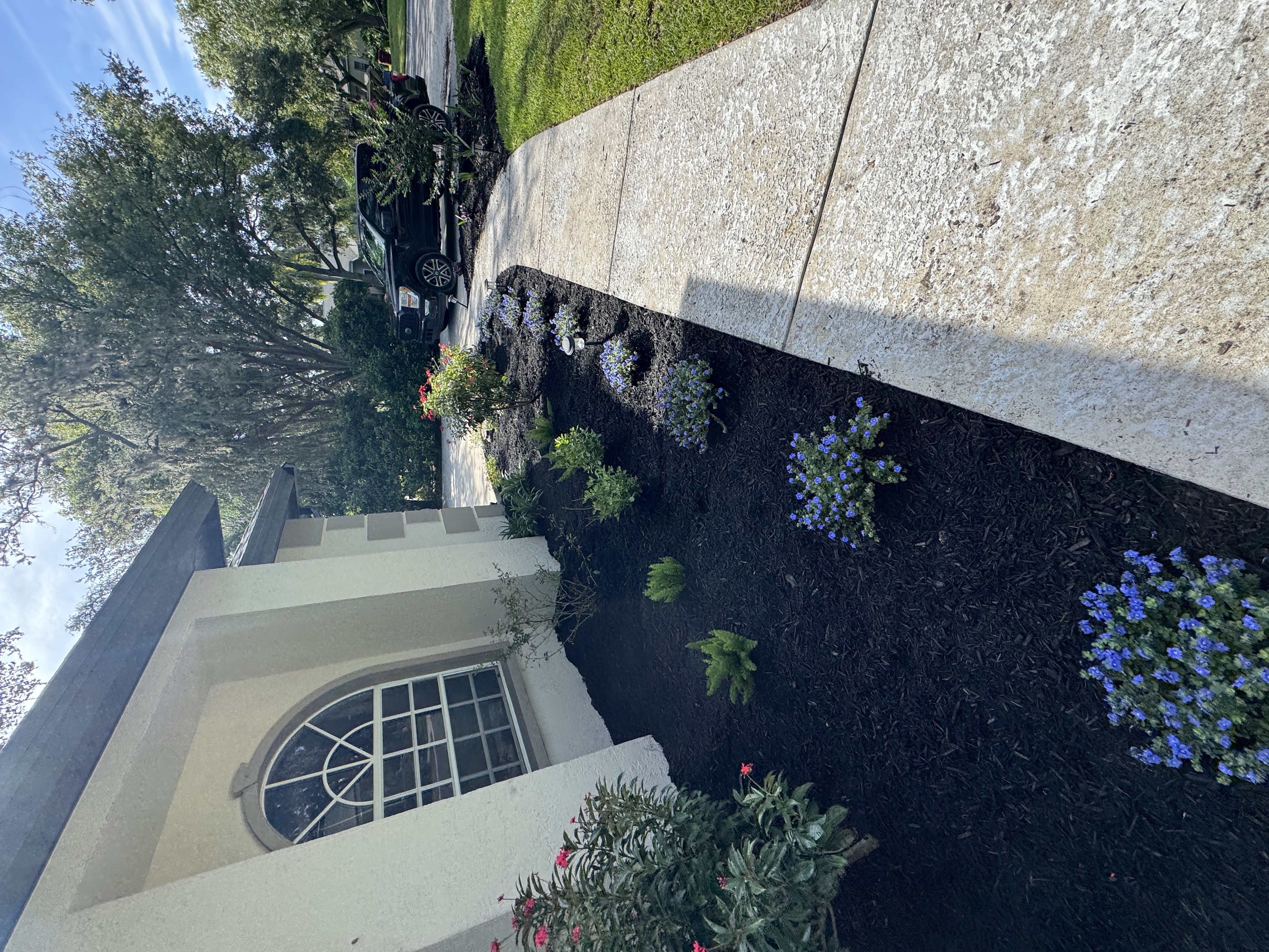 Landscape design and installation